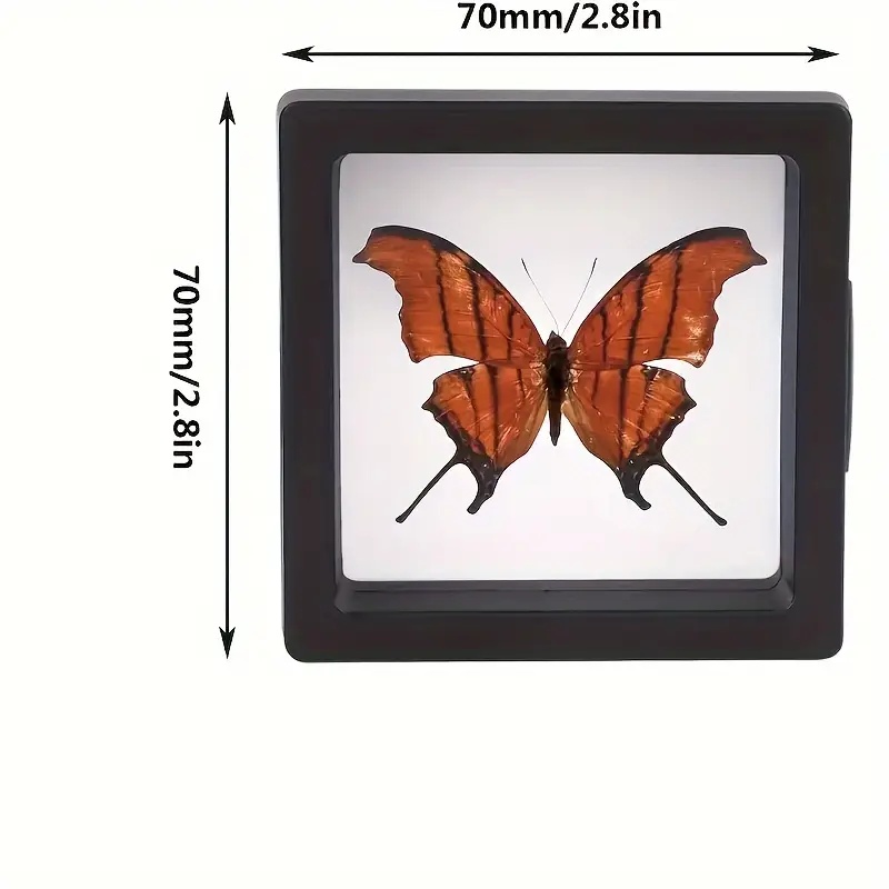 20Pcs Clearview 3D Floating Di - Jewelry Making Box review and price